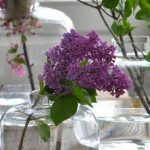 Zaproś wiosnę do domu ze szkłem Krosna